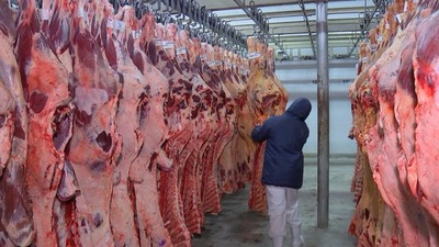 Rússia anuncia restrições temporárias à carne suína e bovina do Brasil