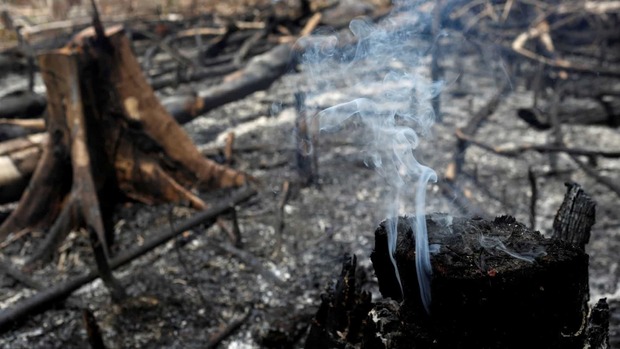 Pantanal tem maior número de incêndios para outubro em 17 anos (Reuters)