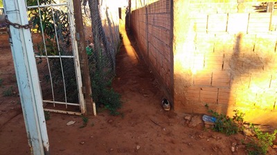 Jovem é encontrado esfaqueado em corredor de residência (Foto: Osvaldo Nóbrega/TV Morena)
