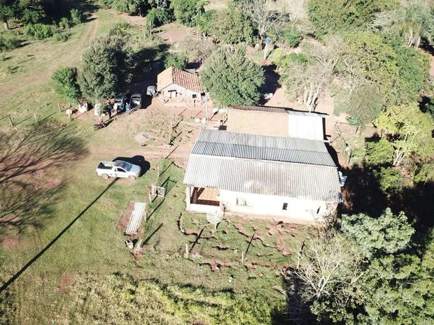 Homem é preso após polícia descobrir plantação com 1,4 t de maconha em fazenda