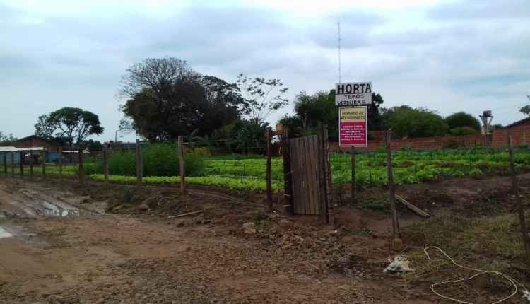 Criança de 3 anos morre eletrocutada ao segurar em cerca