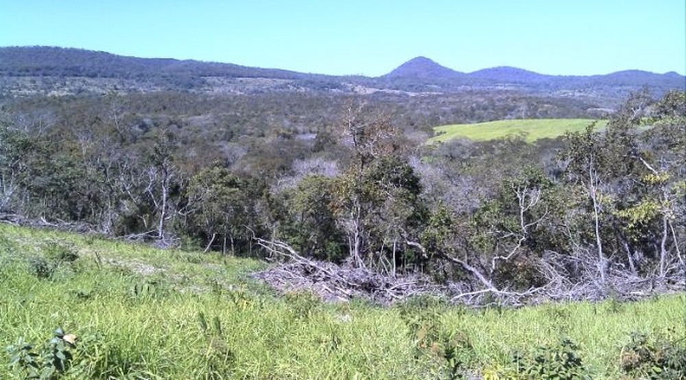 Fazendeiro é multado em R$ 10 mil por desmatamento ilegal em Bonito Fazendeiro usou máquina para destruir 2 hectares da mata às margens do rio do Peixe (Foto: PMA/Divulgação)