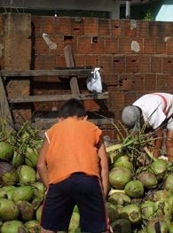 Projeto vai levar capacitação profissional - Foto: Divulgação/MPT