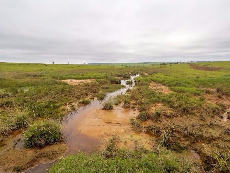 Pecuarista autuado em R$ 59 mil por degradar nascentes e dois córregos