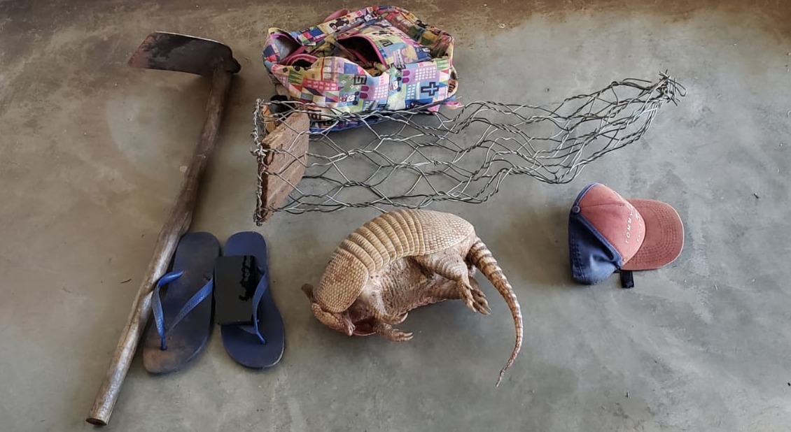 Em abordagem policial, jovem abandona mochila com tatu abatido Em abordagem policial, jovem abandona mochila com tatu abatido