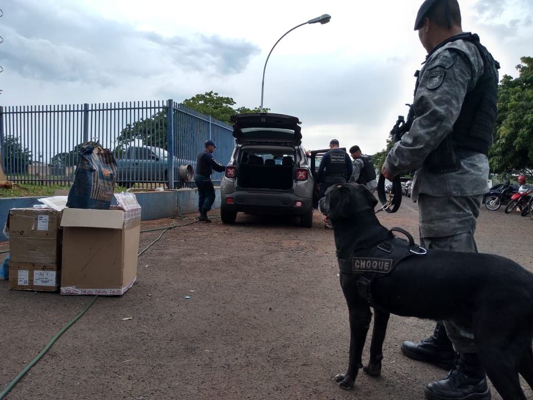 Alunos do curso de policiamento rodoviário tem instrução com cães do Choque