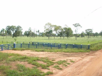 Parte ideal de fazenda com 30 hectares em Terenos tem lance mínimo de R$ 270 mil - Foto: Divulgação