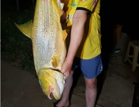 Empresário é multado pela PMA, após postar fotos de 4 peixes na véspera da Piracema Divulgação PMA