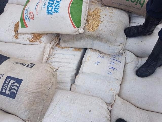 Fardos de maconha estavam embaixo da carga de aveia (Foto: Divulgação)
