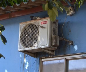 Telas não foram instaladas e fixadas adequadamente no local - Álvaro Rezende 