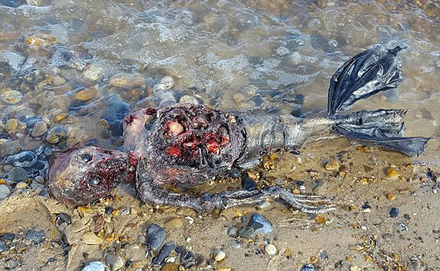 Homem diz ter encontrado “sereia” morta em praia deserta e vídeo explode na internet Homem diz ter encontrado “sereia” morta em praia deserta e vídeo explode na internet