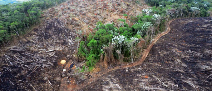 Avanço do desmate na Amazônia causa alerta no governo © Welington Pedro de Oliveira / Fotos Públicas