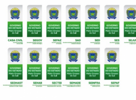 Governo quer tornar padrão logomarca que utiliza somente brasão e cores do Estado