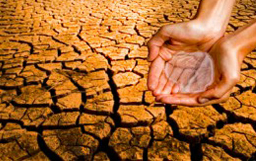 Projeto determina criação de fundo emergencial para atender vítimas da seca