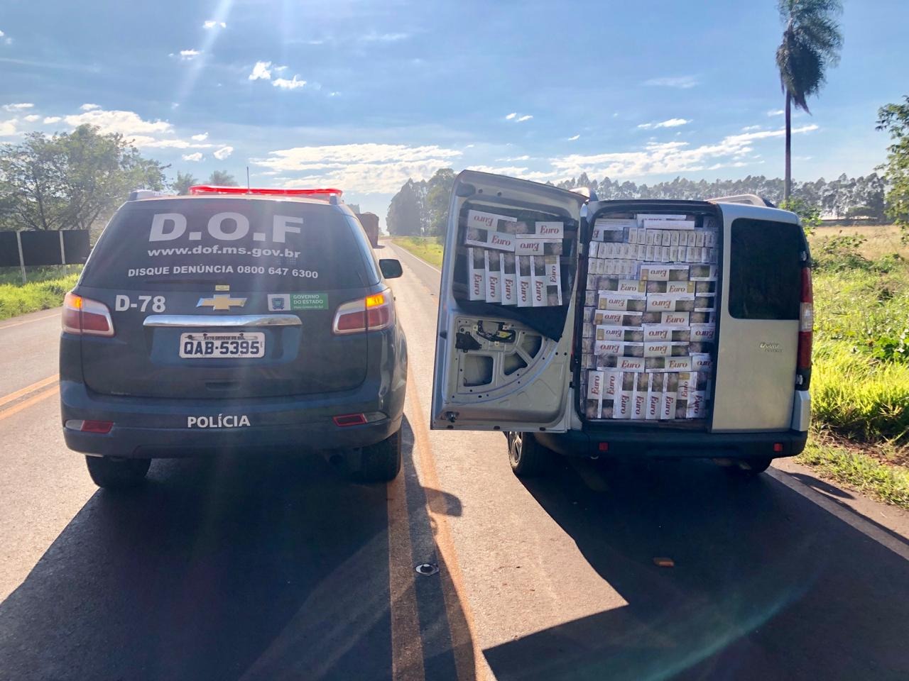 Foto: DIvulgaçao