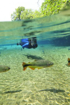 Acervo
Flutuação no Rio da Prata.