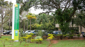 Hoje é ponto facultativo nas repartições públicas estaduais Hoje é ponto facultativo nas repartições públicas estaduais