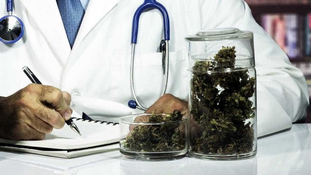 Canabinoide pode ser efetivo para combater fase inicial do Alzheimer Canabinoide pode ser efetivo para combater fase inicial do Alzheimer