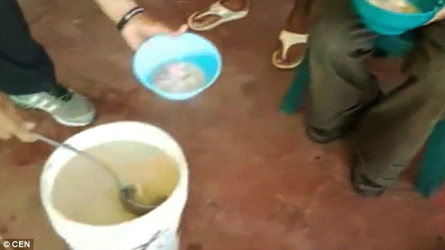 Na Venezuela, presos morrem de fome e sofrem com a falta de medicamentos Na Venezuela, presos morrem de fome e sofrem com a falta de medicamentos