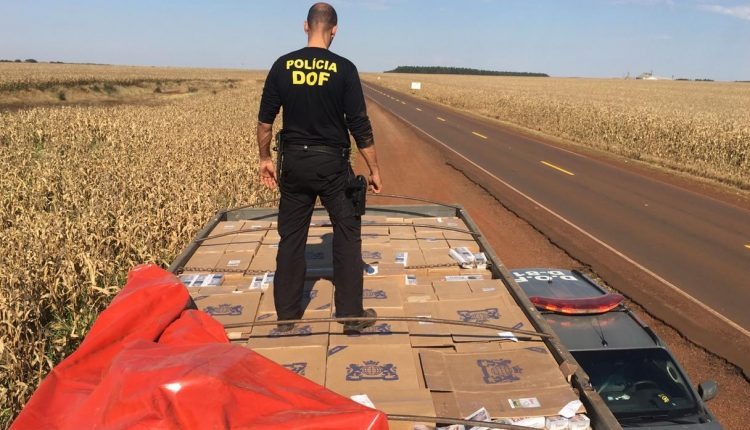 DOF apreende 400 caixas de cigarro contrabandeados em caminhão A carga corresponde a 20 mil pacotes de cigarros. Divulgação