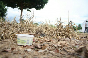 Falta de conscientização da população ainda é o problema para combater a doença. (Foto: Marcos Ermínio)