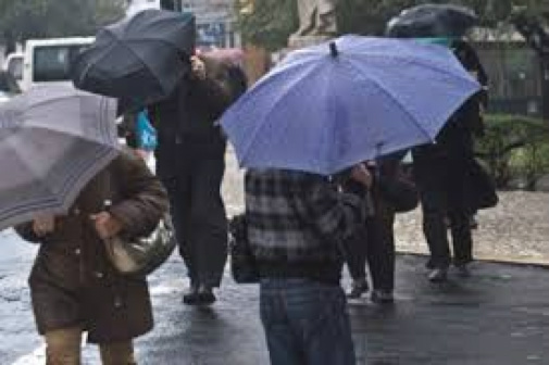 Chuva atingiu mais a região sul e Sete Quedas teve 80 milímetros em um dia Chuva atingiu mais a região sul e Sete Quedas teve 80 milímetros em um dia