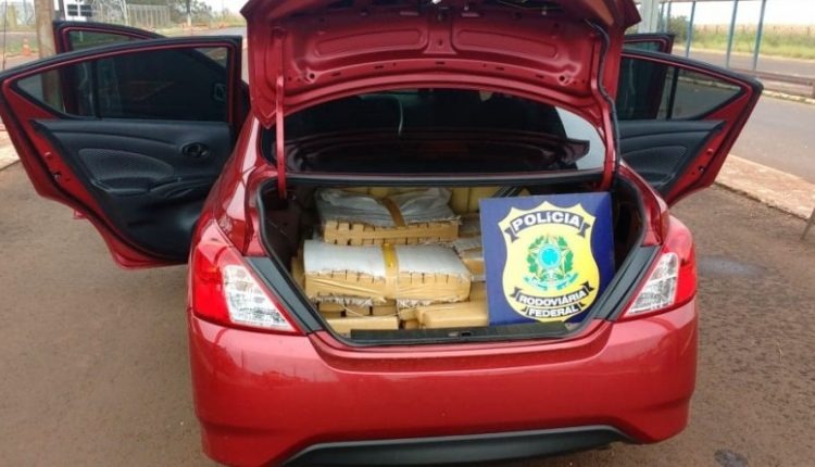 PRF apreende quase meia tonelada de maconha Foto: Divulgação PRF.