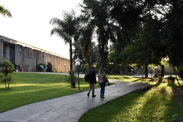 Semana tem sessões plenárias e reuniões de comissões Foto: Arquivo ALMS/Roberto Higa