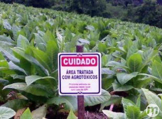 Muitos desses itens, segundo a Anvisa, são demandas antigas de regulamentação ou trazem impacto na rotina diário de trabalho da agência