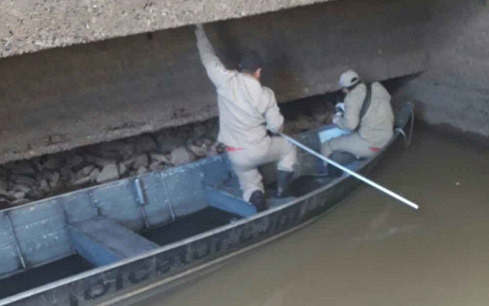 Bombeiros salvam cachorro que caiu em fenda no cais do porto de Corumbá Corpo de Bombeiros utiliza barco para salvar cachorro que caiu no rio Paraguai e se abrigou em do cais do porto Geral de Corumbá (MS), neste sábado (25) (Foto: Corpo de Bombeiros/Divulgação)