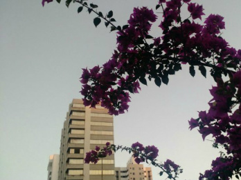 Campo Grande Foto Adriel Mattos G1MS