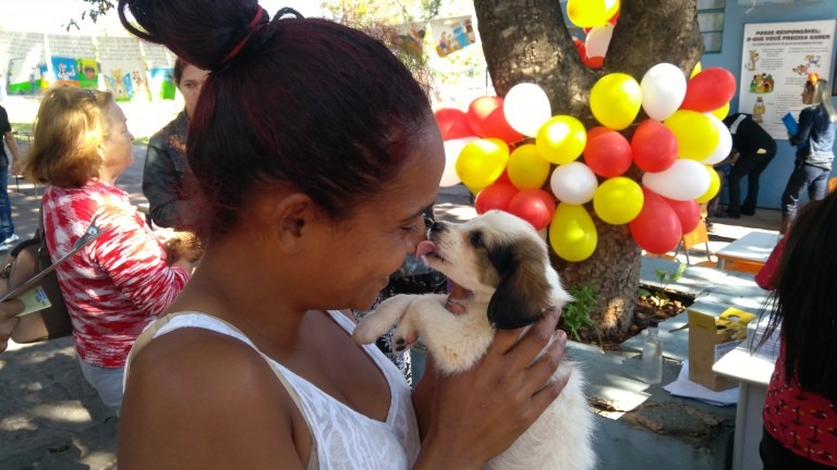 CCZ promove feira de adoção com mais de 100 animais disponíveis
