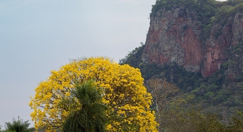 Aquidauana é considerada o Portal de Entrada do Pantanal de MS - Foto: Buriti Viagens e Turismo/Divulgação