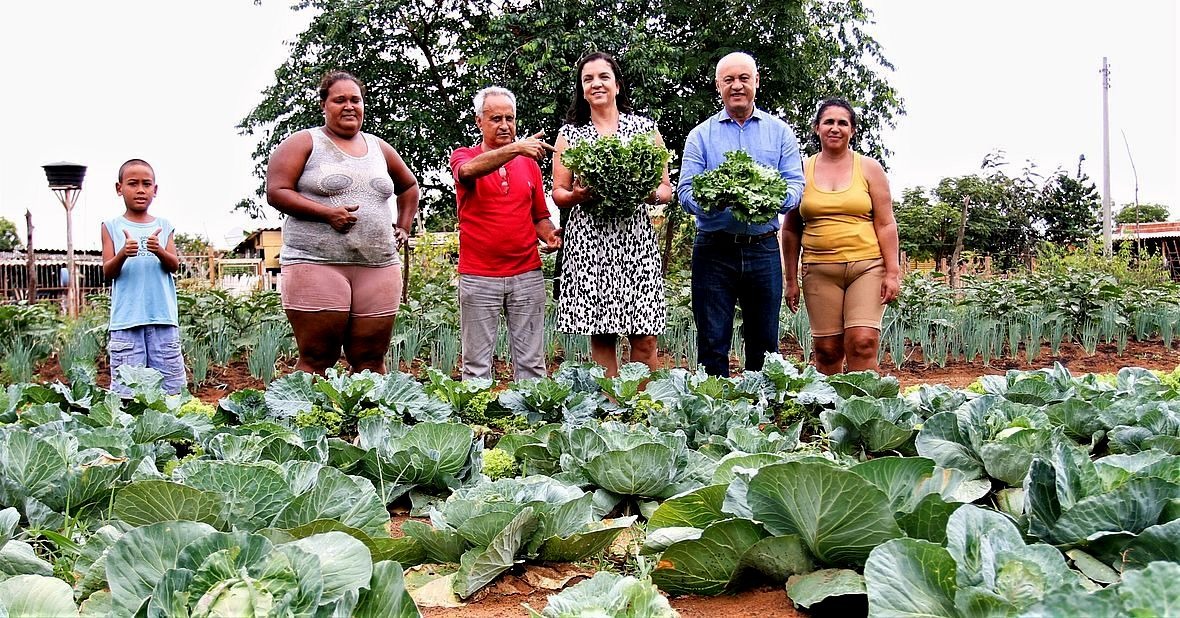 Famílias pioneiras do Projeto Hortas Urbanas já comercializam hortaliças Saul Schramm