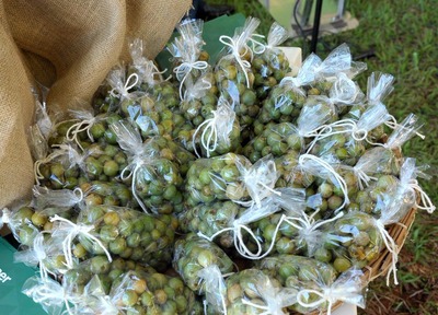 O governador Reinaldo Azambuja sancionou a lei Lei 5.082 em que institui a gauvira como o fruto símbolo de Mato Grosso do Sul.