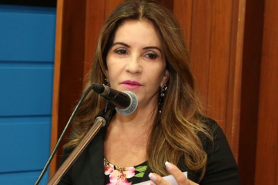 O Decreto Legislativo é de autoria da deputada estadual Antonieta Amorim
