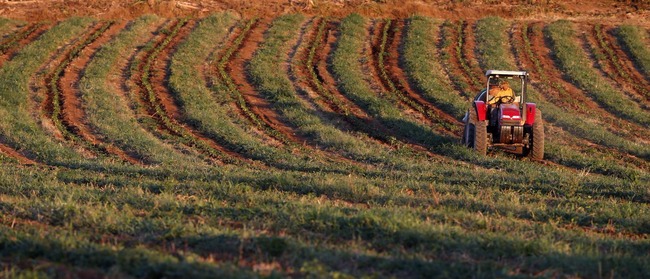 Caixa oferece mais de R$ 10 bi em crédito rural divulgação