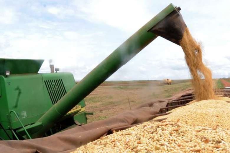 Conab indica que Brasil terá segunda maior safra de grãos da história