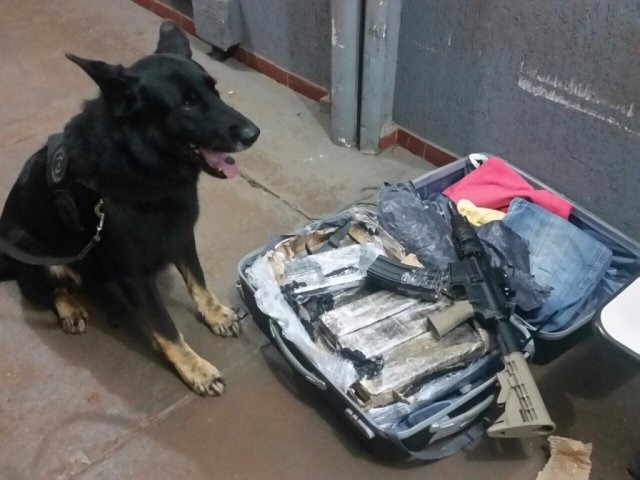 Fuzil 'especial' e carga de maconha são apreendidos no aeroporto (Foto: Divulgação/PF)