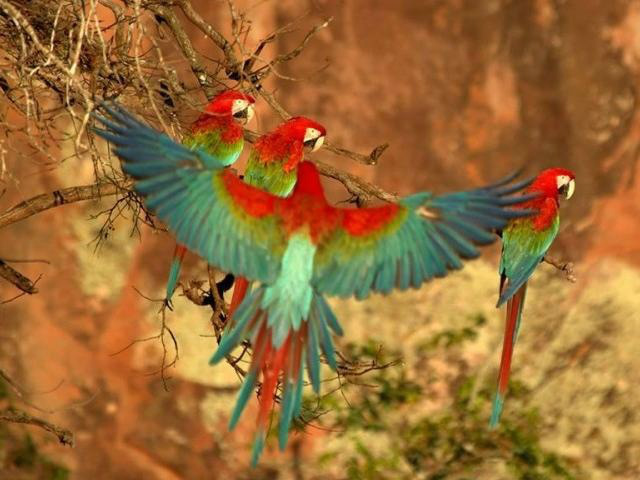 (Foto: Bergson Sampaio)