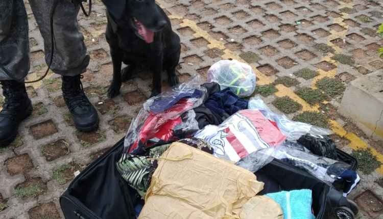Cão farejador do Choque encontra maconha, pasta base e haxixe em mala Divulgação/Choque