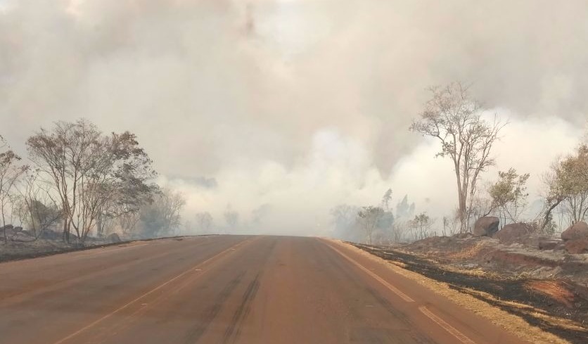Incêndio destrói plantações e leva perigo em rodovia Foto: Direto das ruas