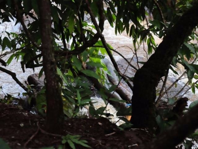 Corpo é encontrado sem cabeça e com pés amarrados para trás Foto: Paulo Francis