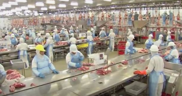 Frigoríficos menores retomam espaço no mercado de Mato Grosso do Sul Frigoríficos menores ganham espaço no mercado após eventos no setor da carne em MS