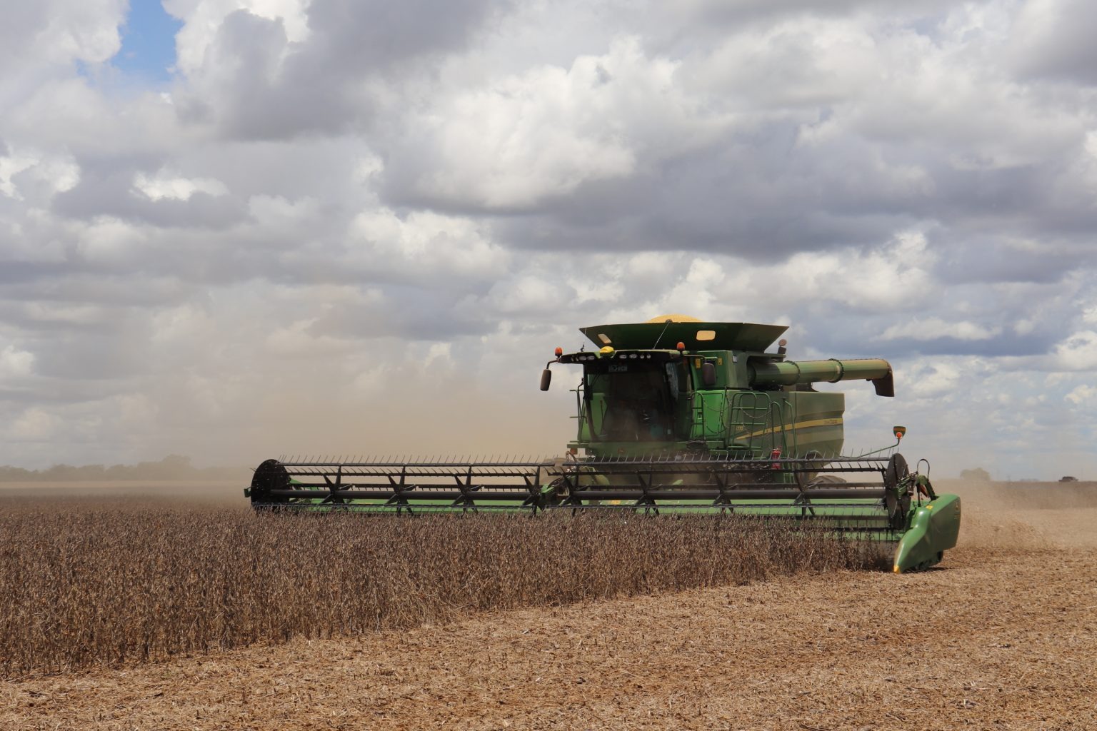 Colheita de soja na safra 2019/2020 atinge 82,6% da área plantada em Mato Grosso do Sul Divulgação/Semagro