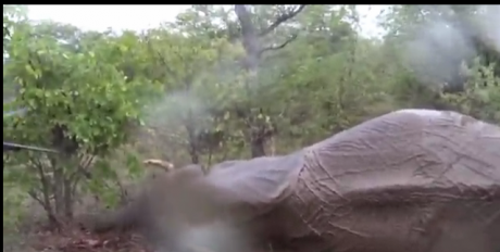 Clique e assista o Vídeo 