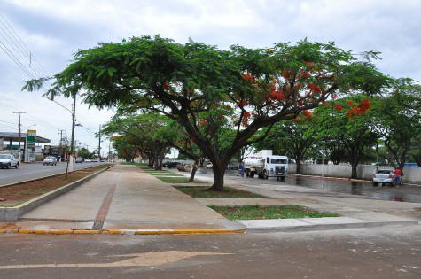 Cemitérios públicos de Dourados recebem melhorias visando o Dia de Finados – A. Frota