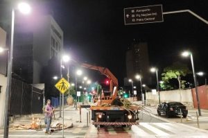 Plantio de novas árvores da 14 de Julho está em fase de conclusão