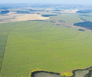 Cadastro ambiental rural atinge 91,5% em Mato Grosso do Sul Produtores estão bem adiantados com a regularização ambiental das áreas no Estado, onde índice de adesão ao CAR já supera os 91% - Paulo Ribas