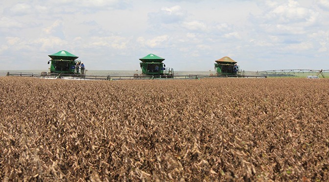 VBP agro ultrapassa R$ 39 bilhões em Mato Grosso do Sul VBP agro ultrapassa R$ 39 bilhões em Mato Grosso do Sul